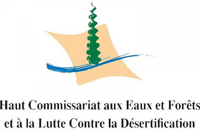 5437685854_d630fceaff_b-