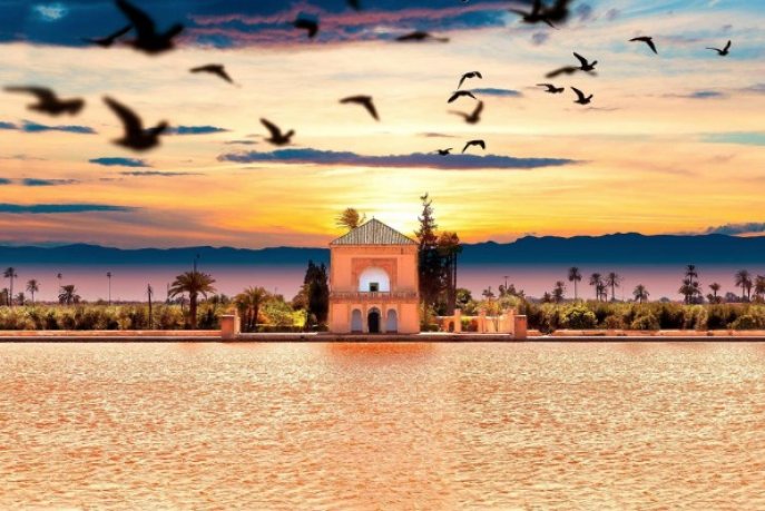 5437685854_d630fceaff_b-