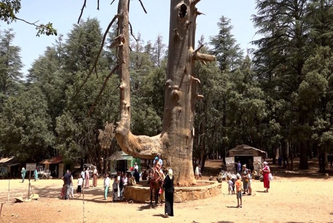 5437685854_d630fceaff_b-