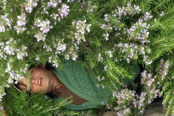 5437685854_d630fceaff_b-