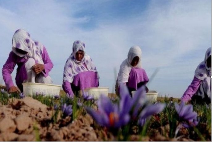 5437685854_d630fceaff_b-