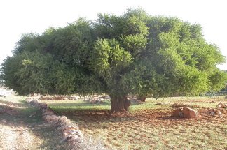 5437685854_d630fceaff_b-